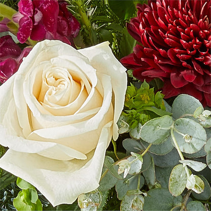 Cranberry Fizz Bouquet –  The Arrangement Smiles Unlimited Llc, Anderson IN