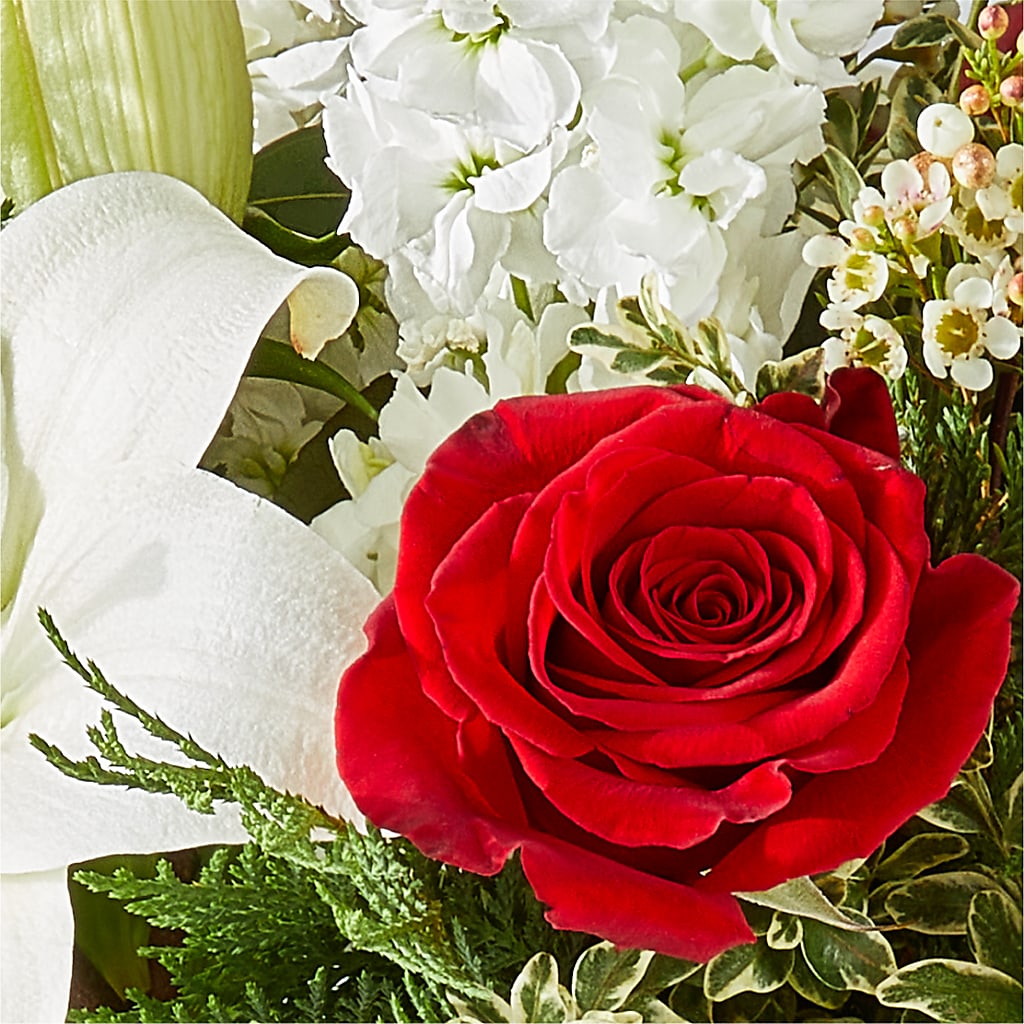 Twinkle Lights Bouquet –  The Arrangement Smiles Unlimited Llc, Anderson IN