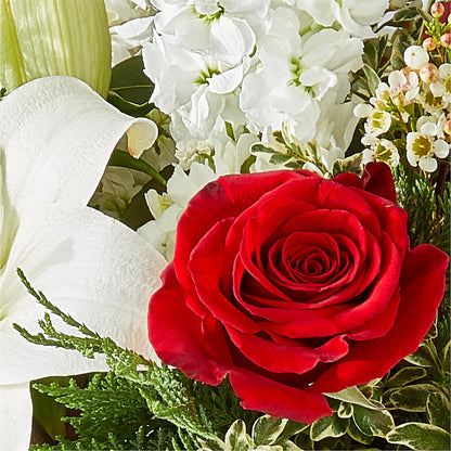 Twinkle Lights Bouquet –  The Arrangement Smiles Unlimited Llc, Anderson IN