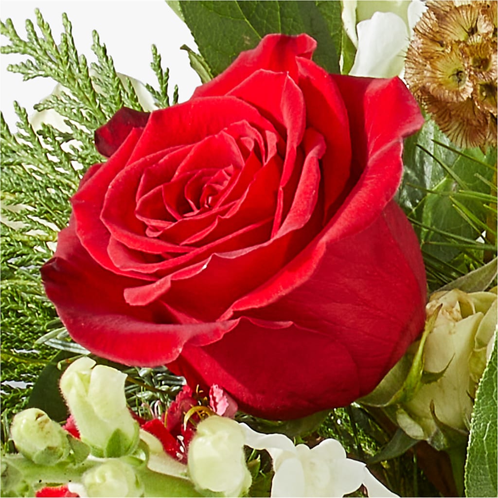 Deck the Halls Bouquet –  The Arrangement Smiles Unlimited Llc, Anderson IN