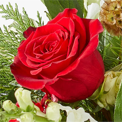 Deck the Halls Bouquet –  The Arrangement Smiles Unlimited Llc, Anderson IN
