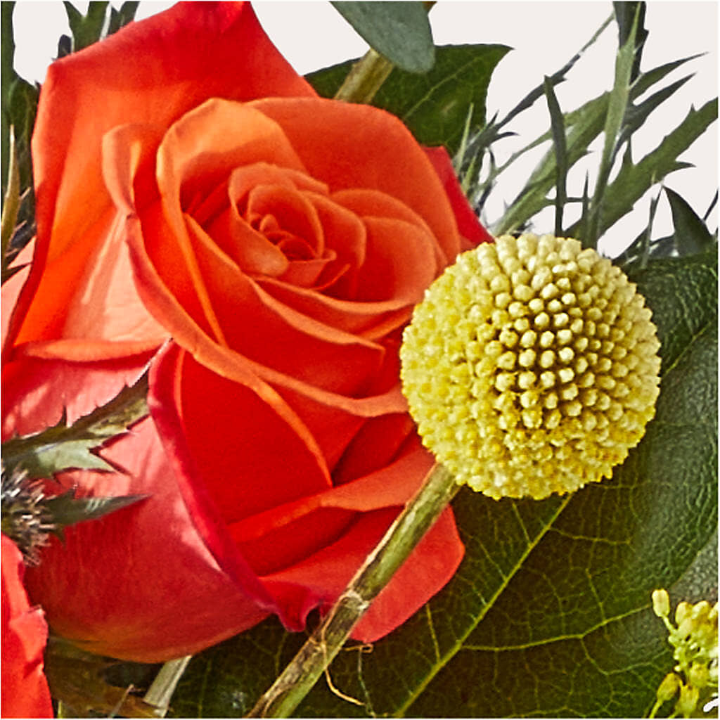 Disco Bouquet –  The Arrangement Smiles Unlimited Llc, Anderson IN