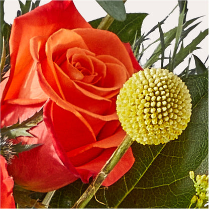 Disco Bouquet –  The Arrangement Smiles Unlimited Llc, Anderson IN