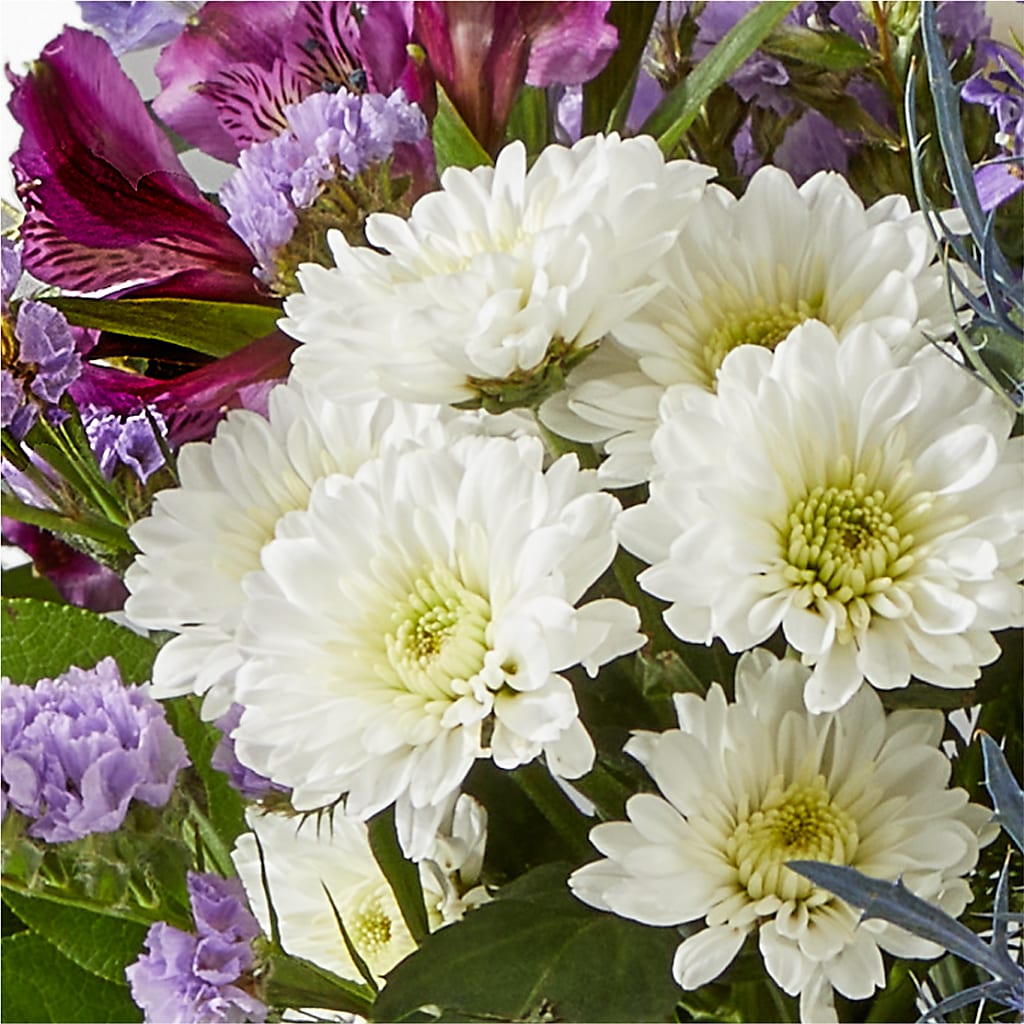 Shooting Star Bouquet –  The Arrangement Smiles Unlimited Llc, Anderson IN