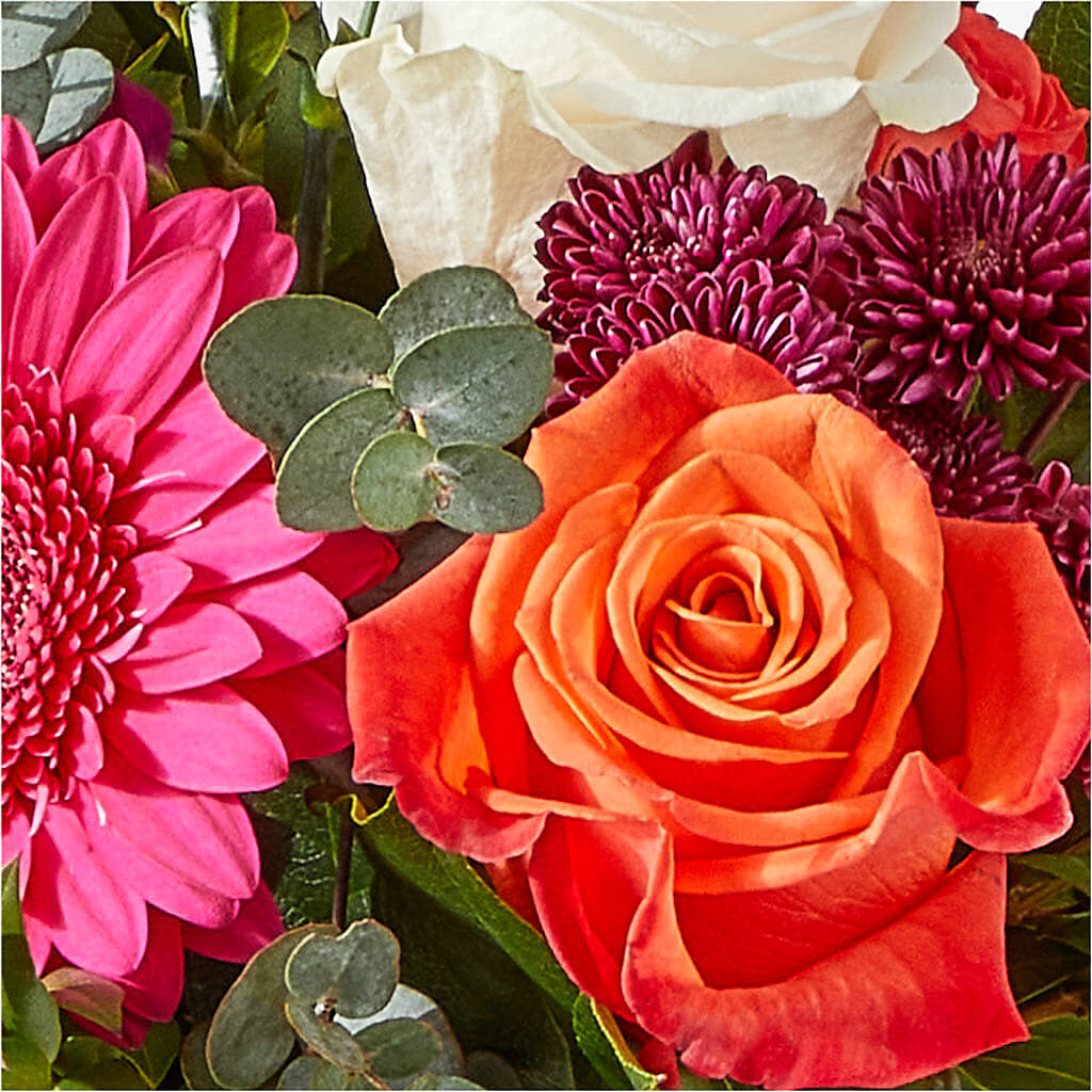 Smell the Roses Bouquet –  The Arrangement Smiles Unlimited Llc, Anderson IN