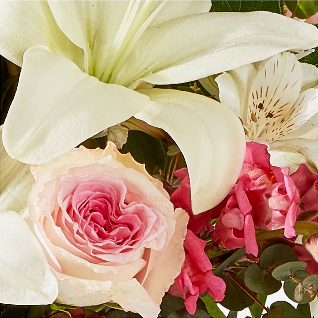 Ballet Slippers Bouquet –  The Arrangement Smiles Unlimited Llc, Anderson IN