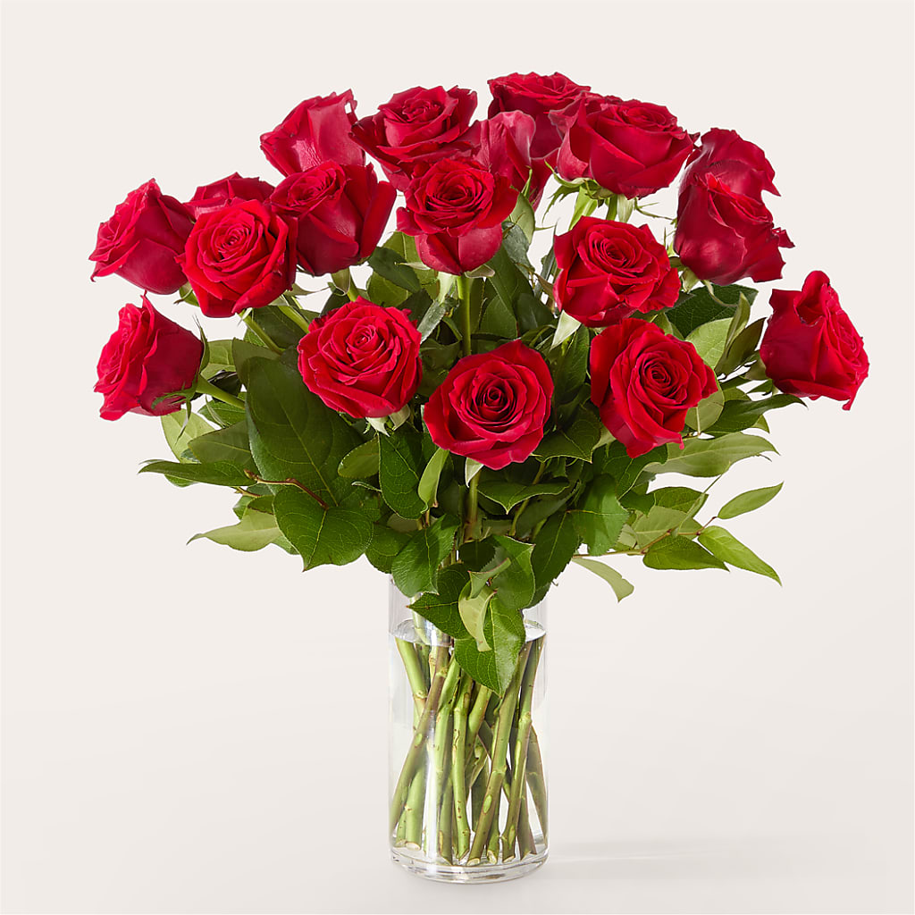 The One Red Rose Bouquet –  The Arrangement Smiles Unlimited Llc, Anderson IN