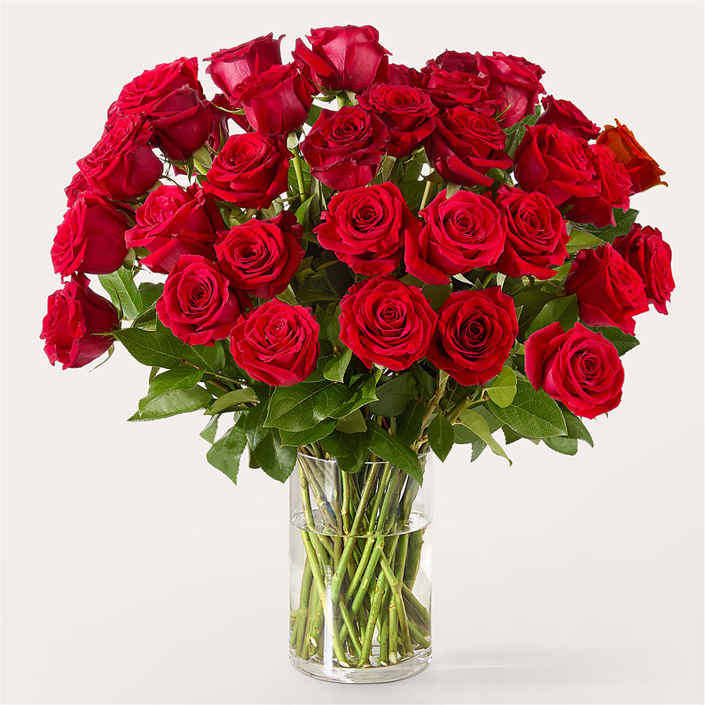 The One Red Rose Bouquet –  The Arrangement Smiles Unlimited Llc, Anderson IN