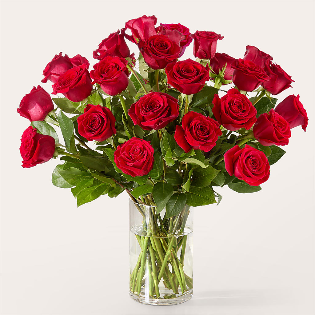The One Red Rose Bouquet –  The Arrangement Smiles Unlimited Llc, Anderson IN