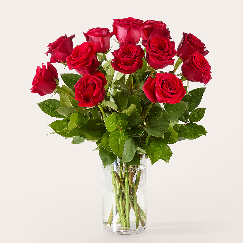 The One Red Rose Bouquet –  The Arrangement Smiles Unlimited Llc, Anderson IN