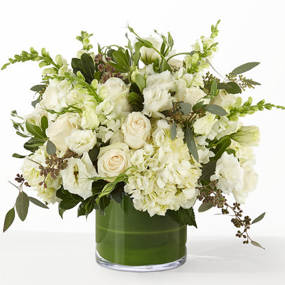 The Gallery –  The Arrangement Smiles Unlimited Llc, Anderson IN