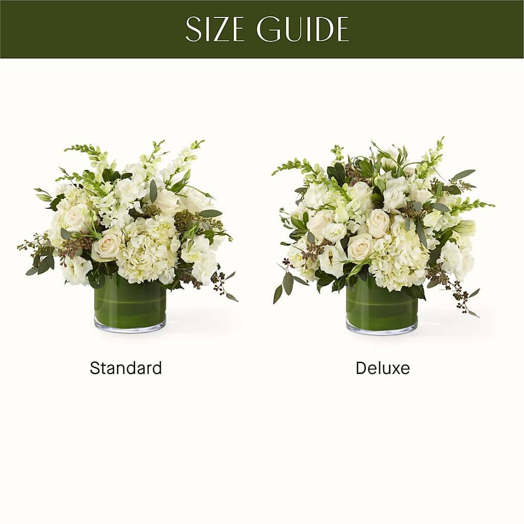 The Gallery –  The Arrangement Smiles Unlimited Llc, Anderson IN