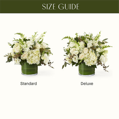 The Gallery –  The Arrangement Smiles Unlimited Llc, Anderson IN