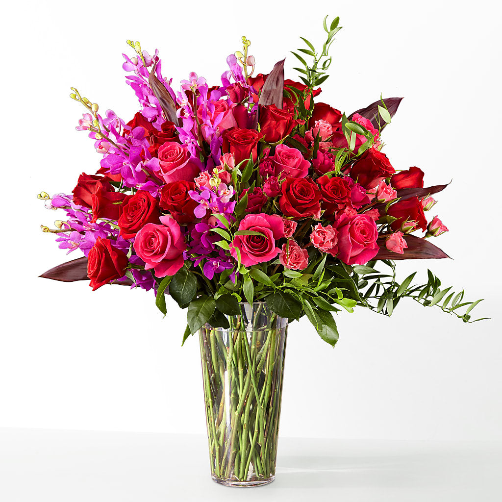 The Honeymoon –  The Arrangement Smiles Unlimited Llc, Anderson IN