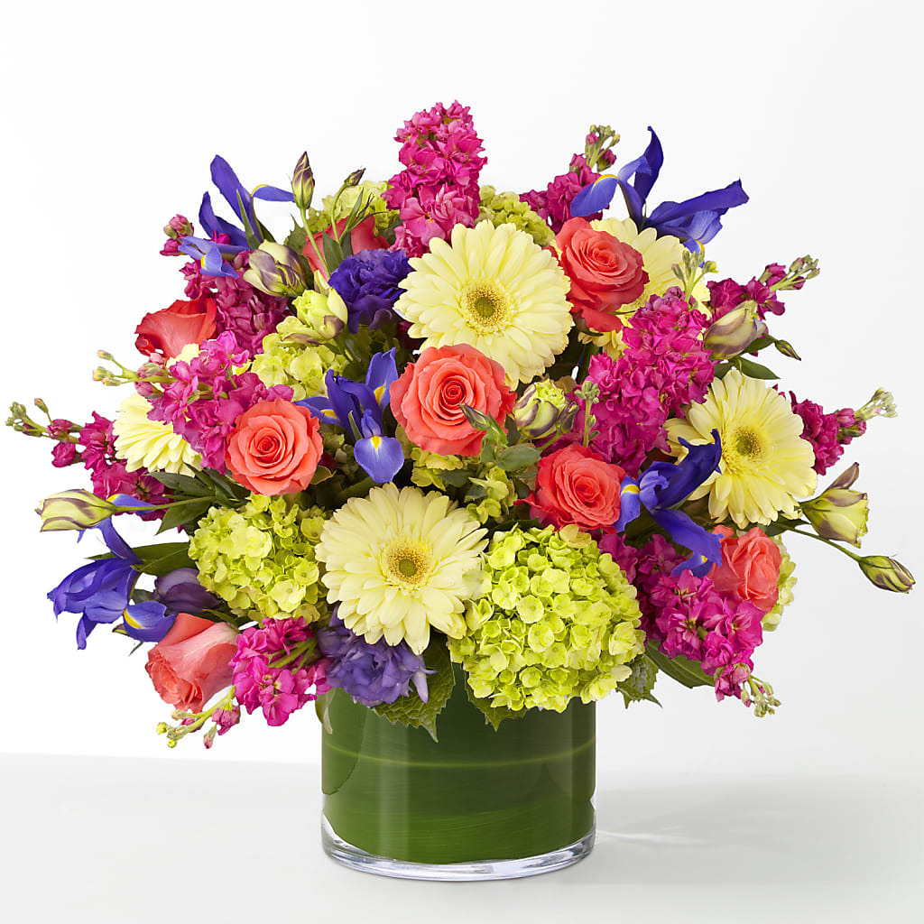 The Couture –  The Arrangement Smiles Unlimited Llc, Anderson IN