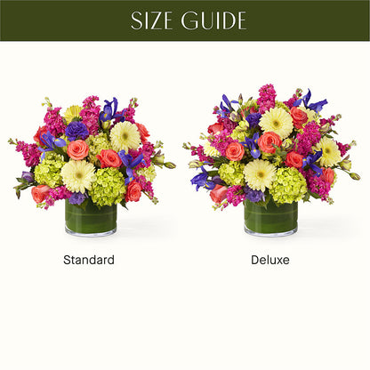 The Couture –  The Arrangement Smiles Unlimited Llc, Anderson IN
