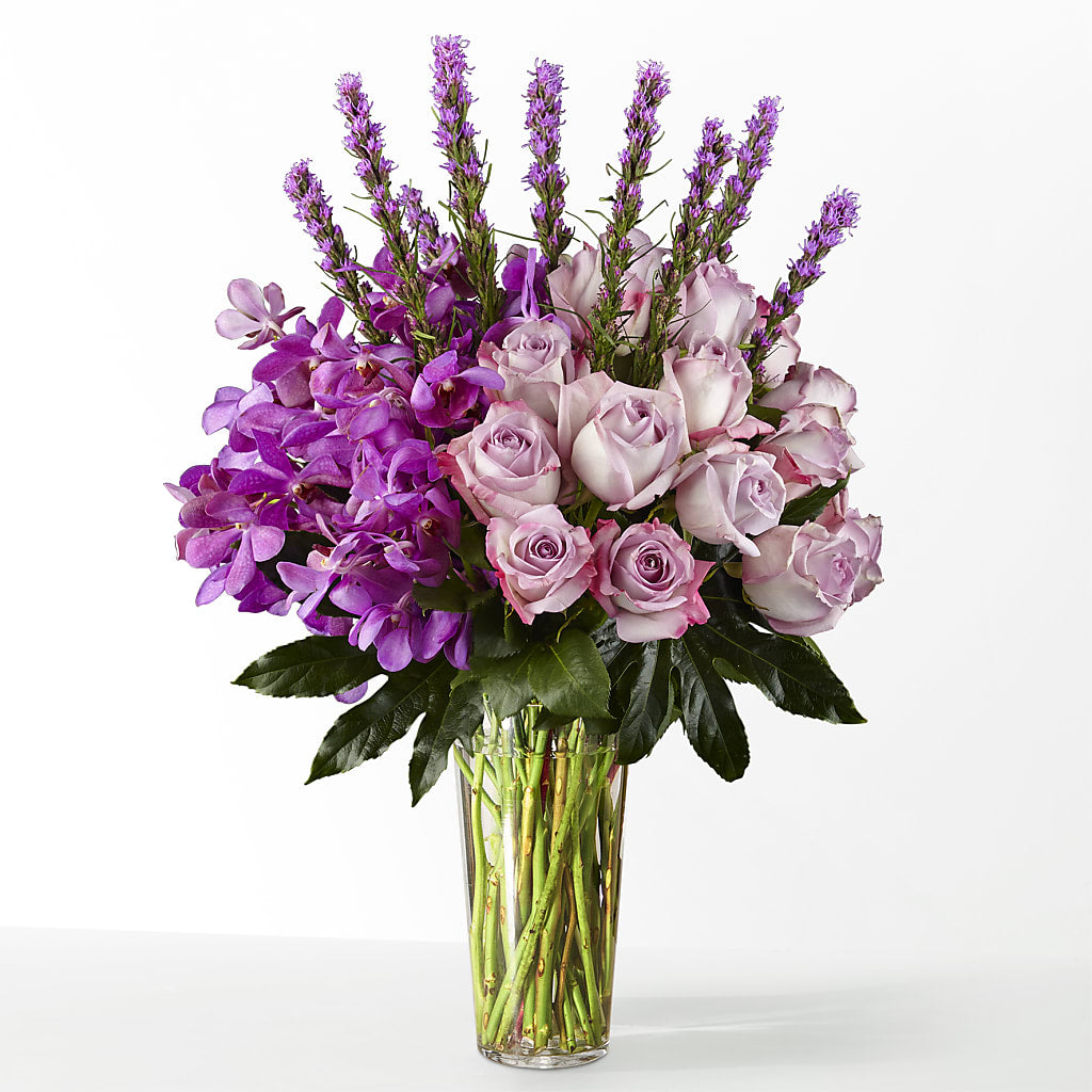 The Maximalist –  The Arrangement Smiles Unlimited Llc, Anderson IN