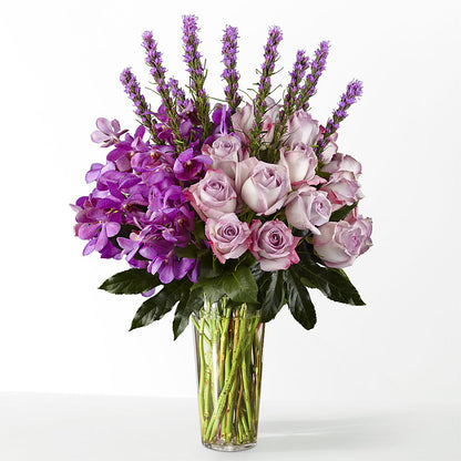 The Maximalist –  The Arrangement Smiles Unlimited Llc, Anderson IN
