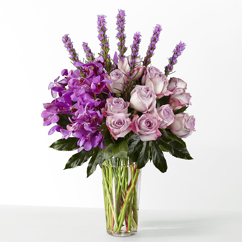 The Maximalist –  The Arrangement Smiles Unlimited Llc, Anderson IN