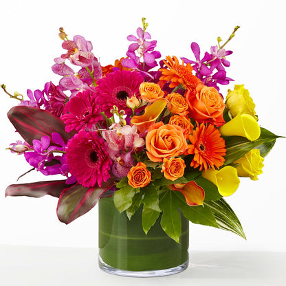 The Mosaic –  The Arrangement Smiles Unlimited Llc, Anderson IN